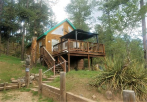 High Mountain Cabin